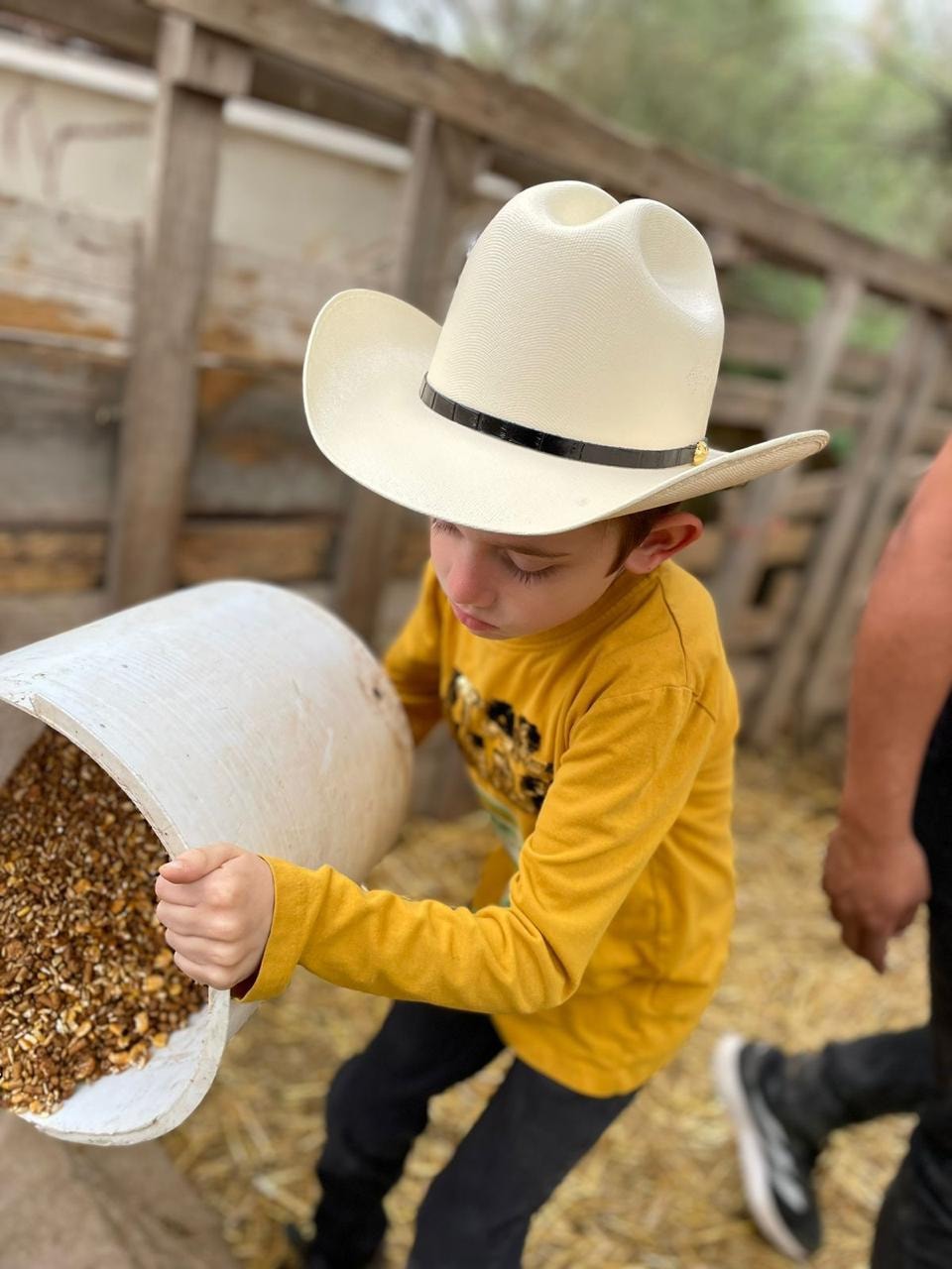 Niño con sombrero en rancho alimentando animales